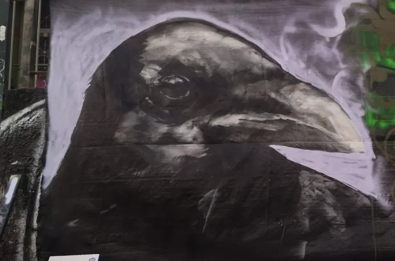 Crow