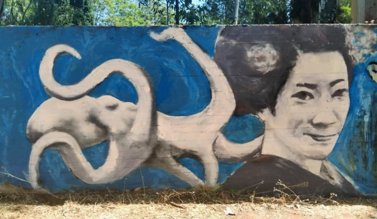 Octopus